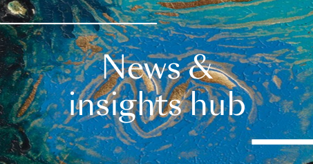 News and insights hub