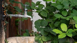Buying Property with a Private Water Supply