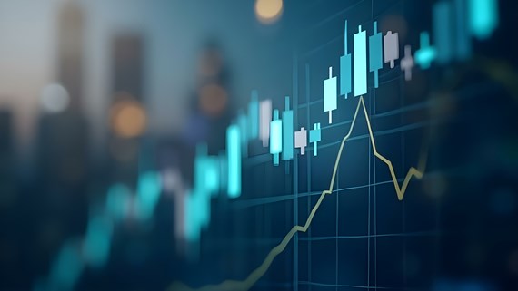 asset graphs - fines