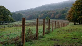 Boundary fence