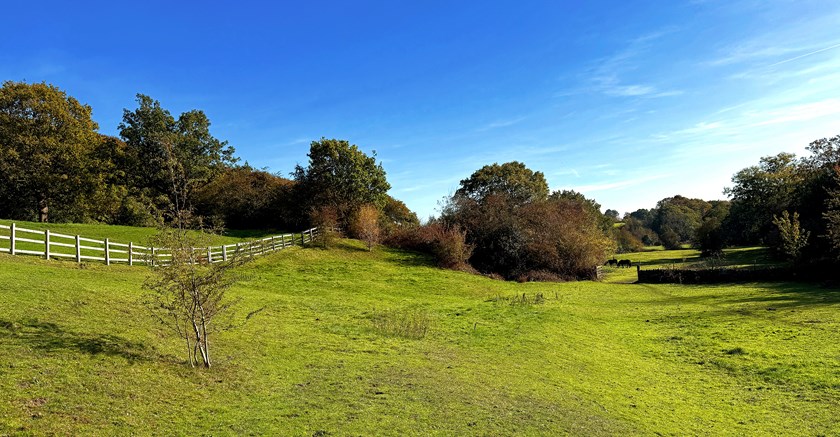 Fence