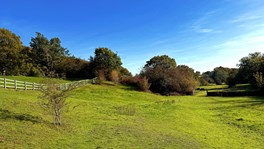 Fence