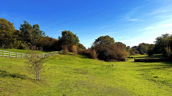 Fence