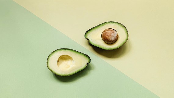 Avocado