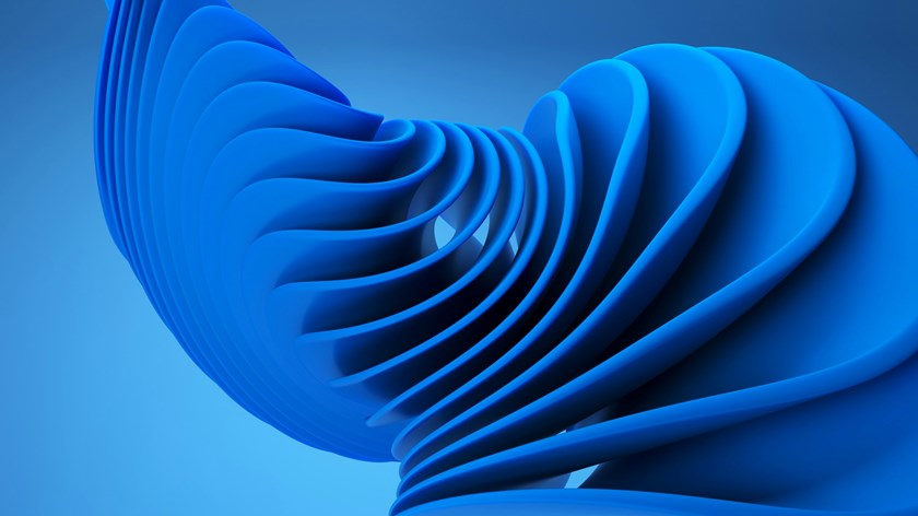 blue petals