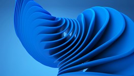 blue petals