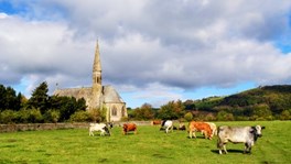 Church with Cows