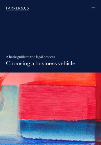 Choosing a business vehicle