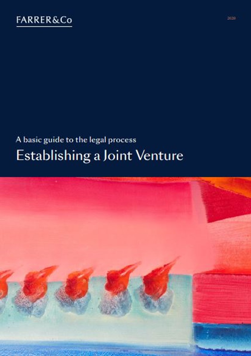 Establishing a Joint venture brochure cover