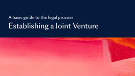 Establishing a Joint venture brochure cover