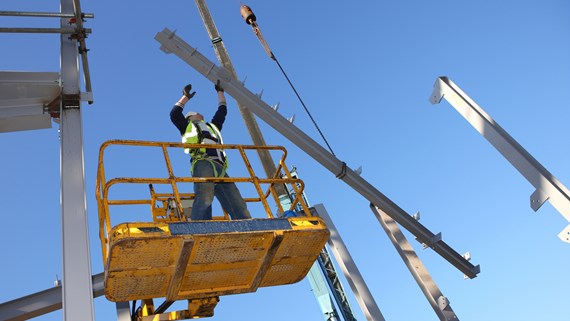 Cranes and worker