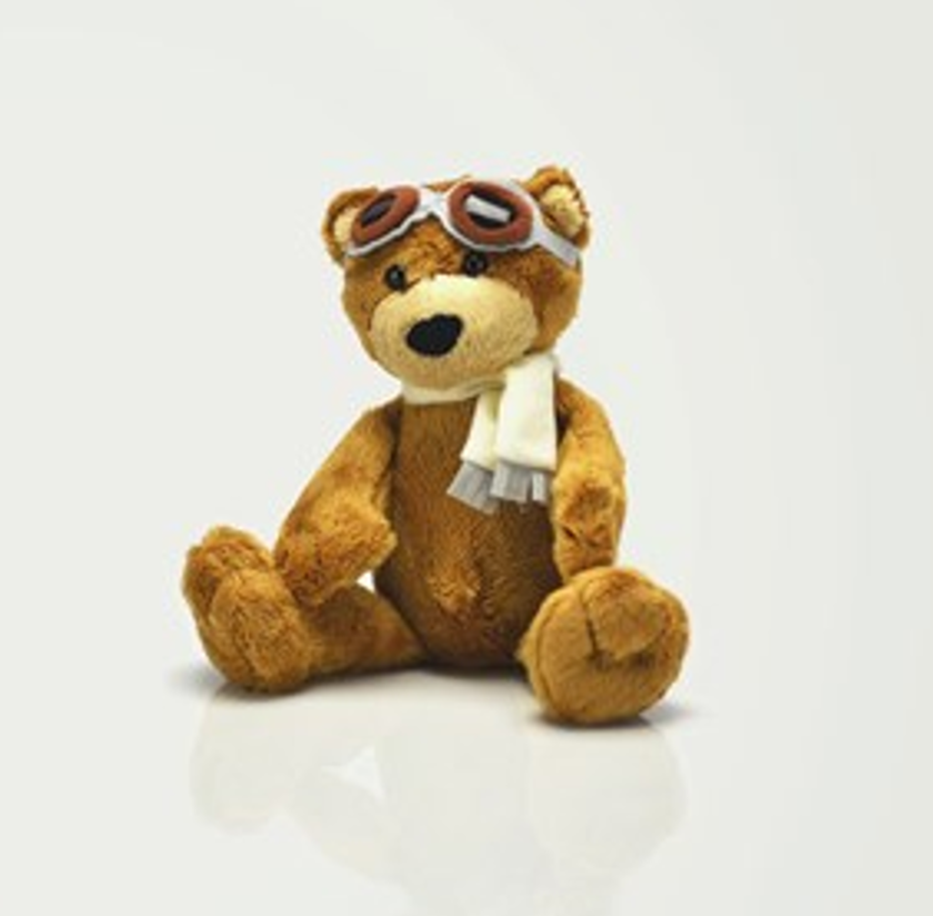 cropped bear