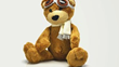 cropped bear