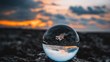 eco globe