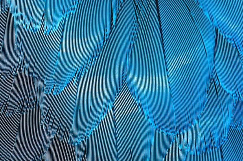 cyber abstract