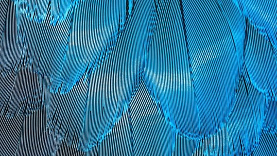 cyber abstract