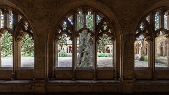 Cloisters hallway at a university