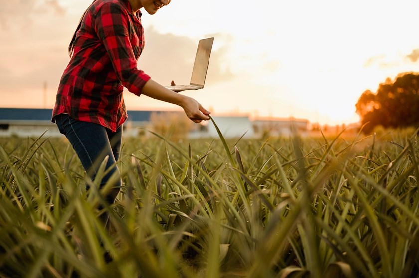 farm-land-survey