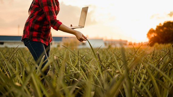 farm-land-survey