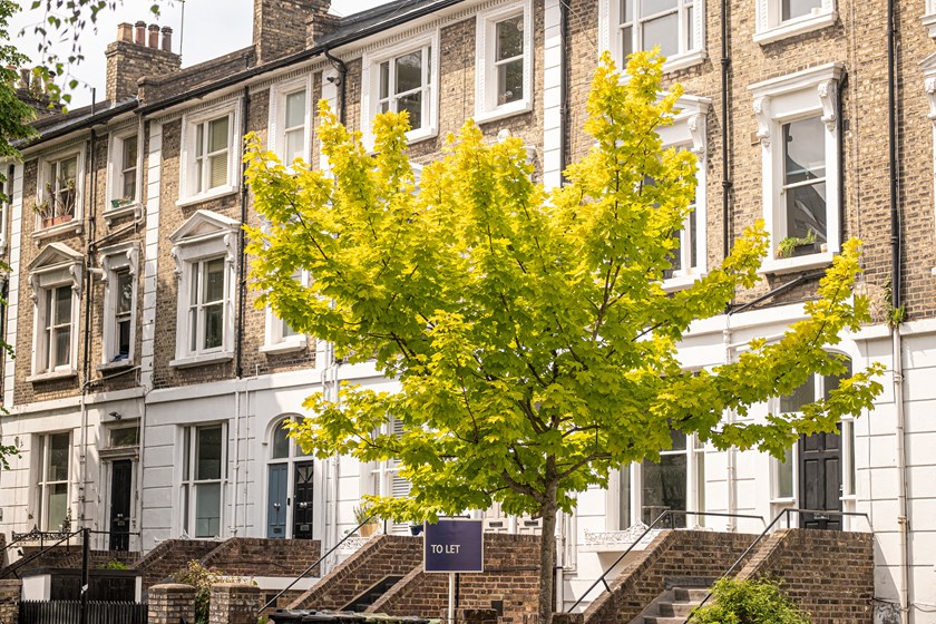 A row of London terraced townhouses with a To Let sign outside, illustrating residential rental property affected by the Renters' Rights Act 2025 and its implications for trustees.
