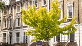 A row of London terraced townhouses with a To Let sign outside, illustrating residential rental property affected by the Renters' Rights Act 2025 and its implications for trustees.
