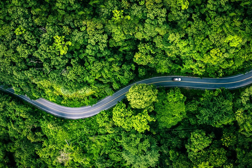 Long winding road with trees either side