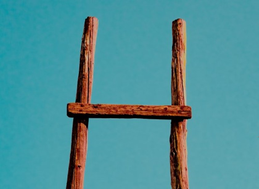 ladder