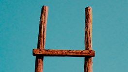 ladder-cropped