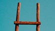 ladder-cropped
