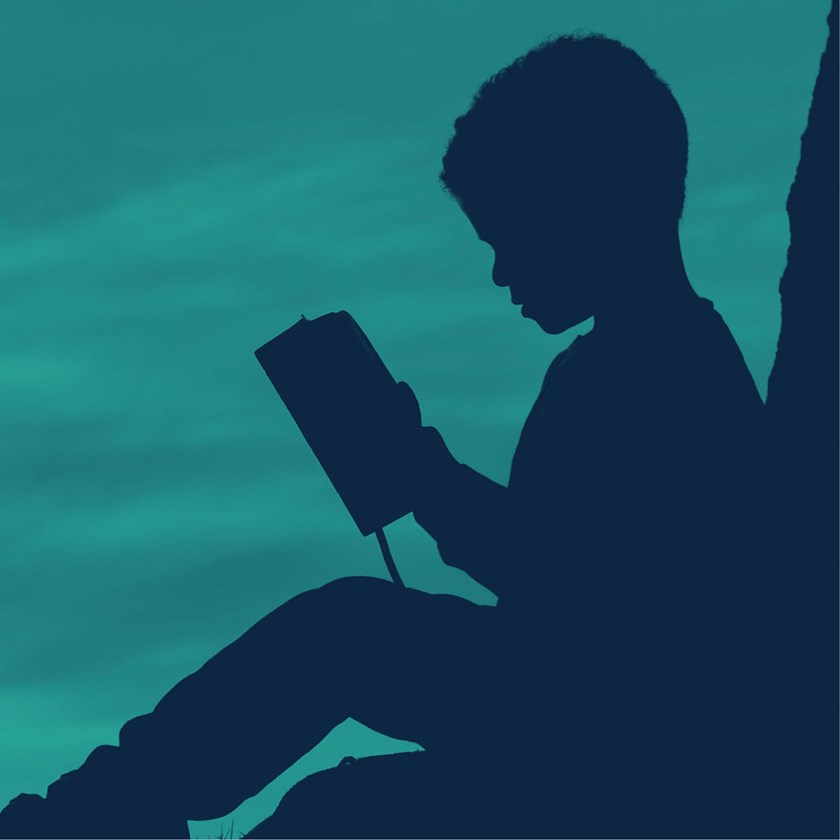 llcs-website-thumbnail