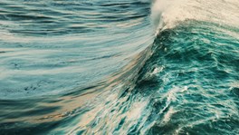 Waves