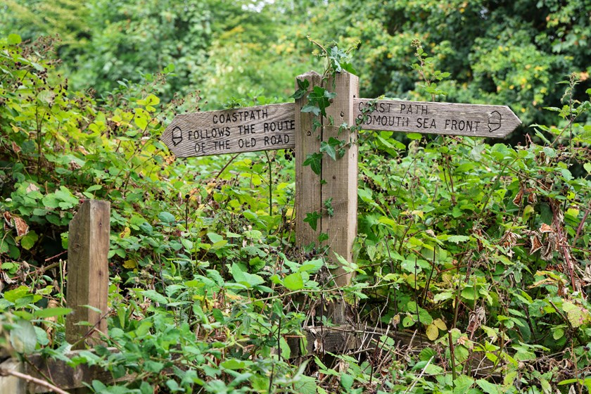 Traditional wooden signpost