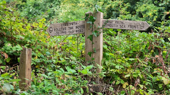 Traditional wooden signpost