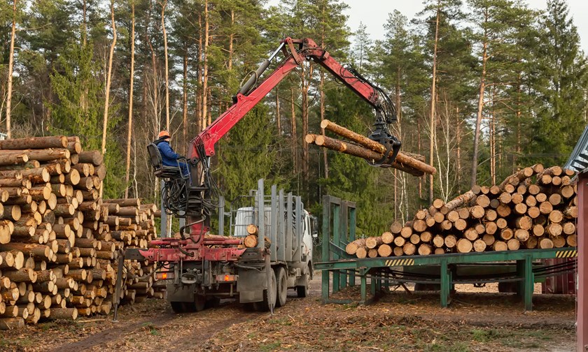 Transport and logging industry