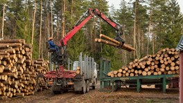 Transport and logging industry