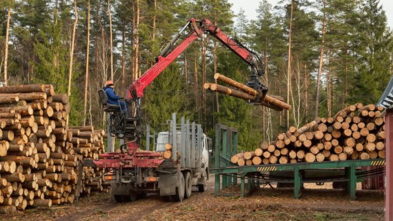 Transport and logging industry