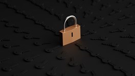 padlock-low-res-2