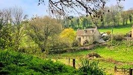 cottage in the countryside