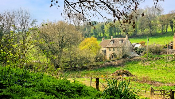 cottage in the countryside