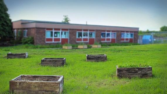 School