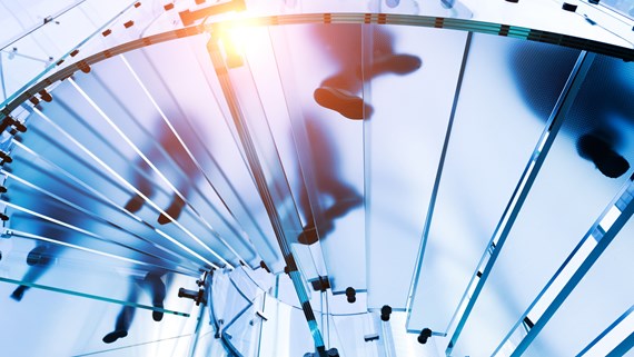 The Wates Principles: recent reporting insights – what do senior executives and board members need to know