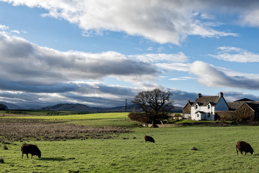 uk farming