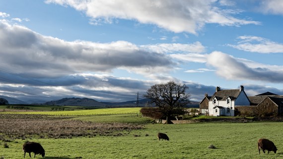uk farming