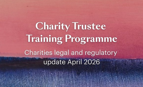 Charity Trustee Training Programme banner, 